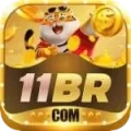 11br - VIP v5.6.4